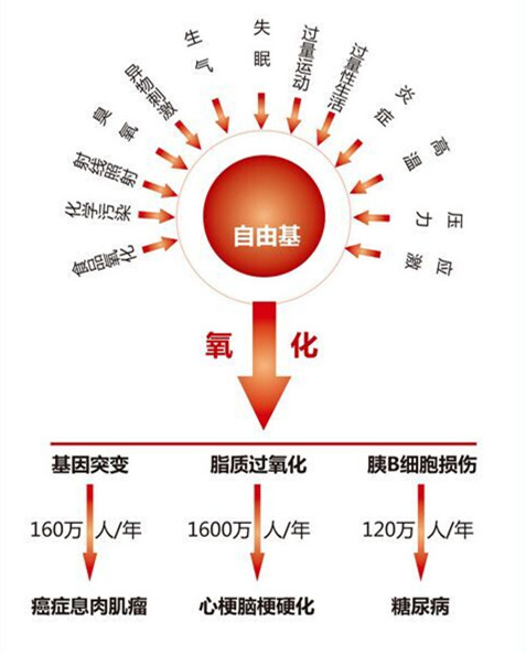 破译生命密码 秦始皇东寻不老秘方走错了方向!